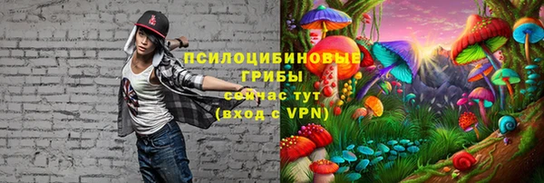 прущая мука Абаза
