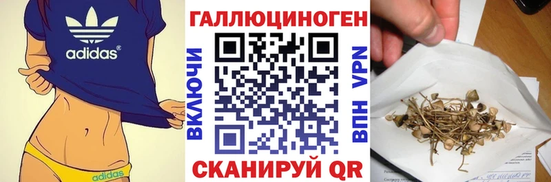 Галлюциногенные грибы MAGIC MUSHROOMS  цена   Богородицк 